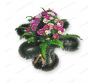 Венок 09